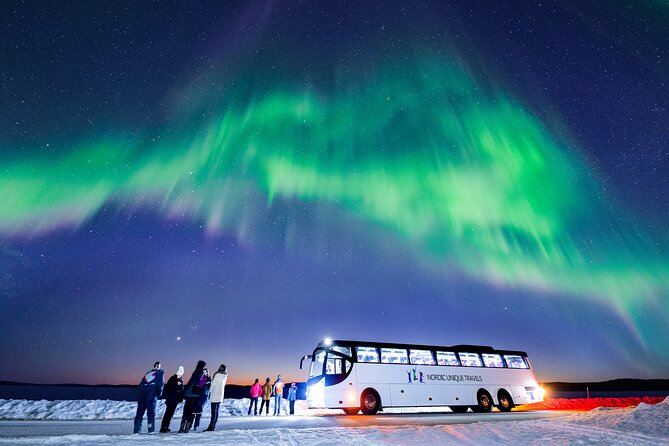 Bus Tour with Hunting Northern Lights - What You Actually Get On Board: Guide Help and Hot Drinks