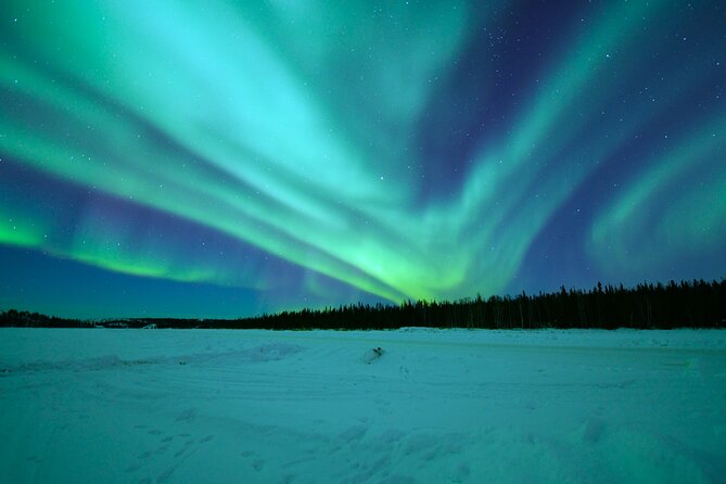 Chasing Aurora with Photographer - Small Group - Warm break at the open fire with Lappish sausages and hot drinks