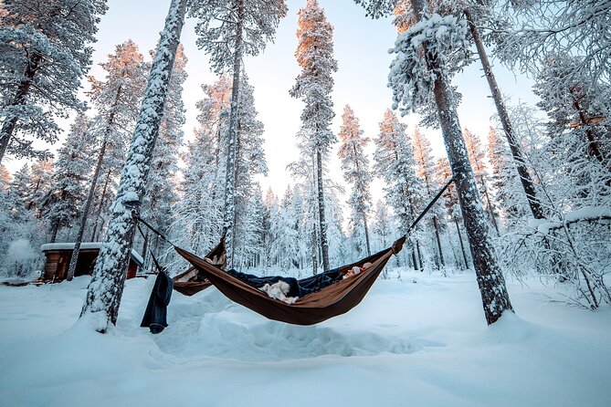 Cocooning in the HaliPuu forest: The ultimate Arctic hammock relaxation - A 2 to 2.5 hour forest reset in Levi, Finland
