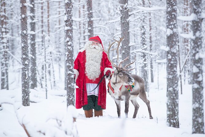 Daytour to Santa Claus Village, Reindeer and Husky Safaris, Photo, and Lunch - Santa Claus Main Post Office: Write, Send, and Shop Small