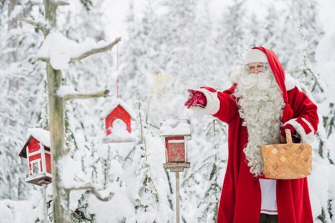 Daytour to Santa Claus Village, Reindeer and Husky Safaris, Photo, and Lunch - Lunch at Santa Claus Village: Included, but Not Everyone Loves It