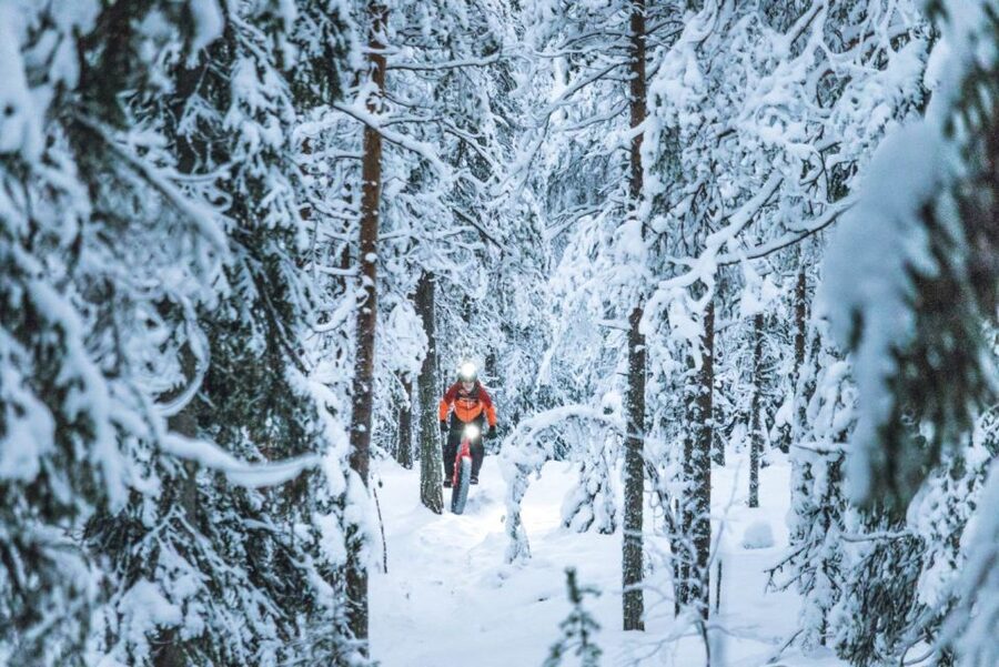 E-FatBike experience in small groups - Price and value: what $218 covers and who benefits most