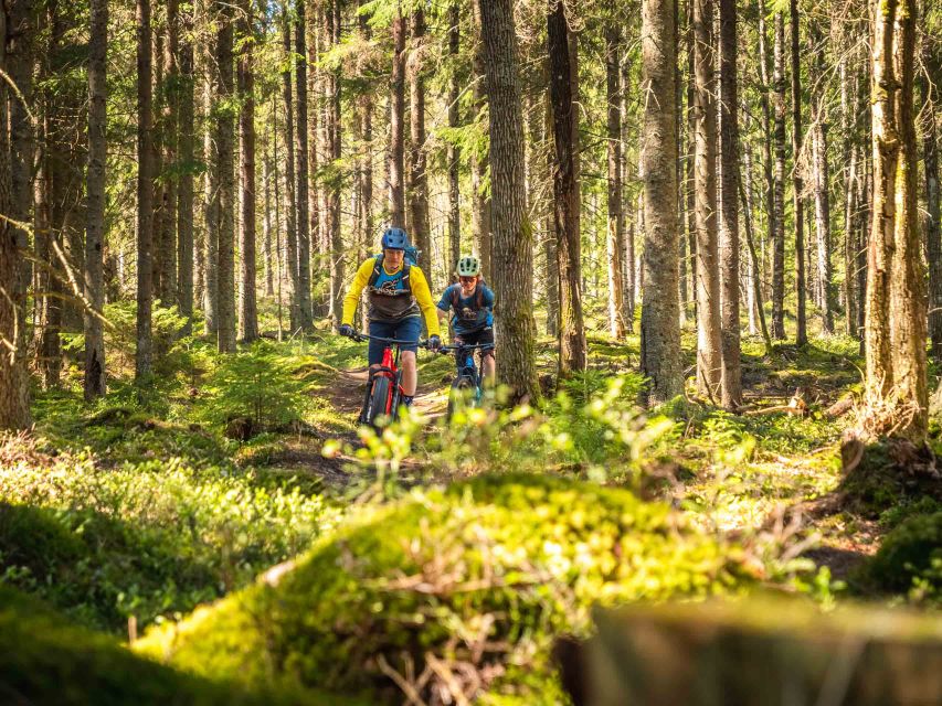 E-FatBike experience in small groups - The 3-hour flow, from Hostel Cafe Koti to hilltop backroads