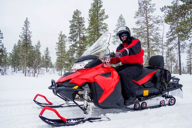 Easy Snowmobile Safari - Key Things That Make This Safari Worth Your Time