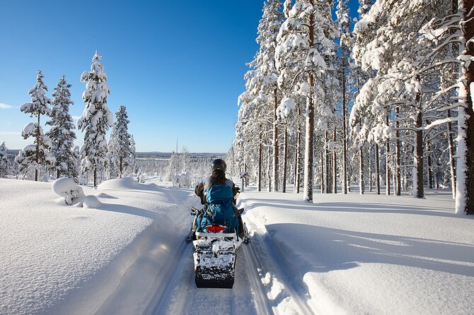 Easy Snowmobile Safari - Why This Easy Snowmobile Safari Fits Real Travelers
