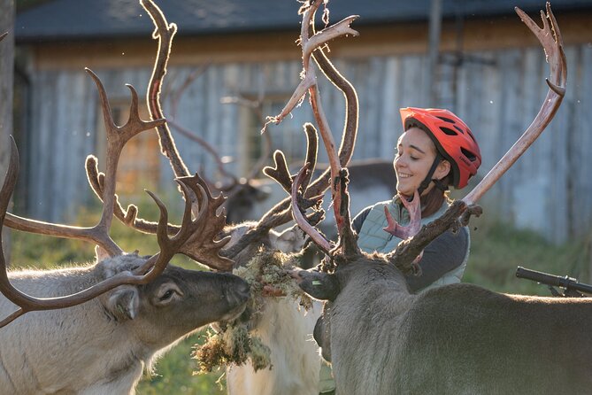 Electric Fatbike Trip to the Reindeer Farm - Electric fatbikes: why they matter on Lapland trails