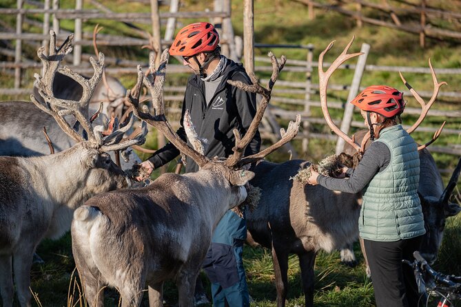 Electric Fatbike Trip to the Reindeer Farm - What to bring and how to set yourself up for a smooth ride
