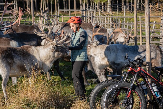 Electric Fatbike Trip to the Reindeer Farm - Who this electric reindeer ride is best for