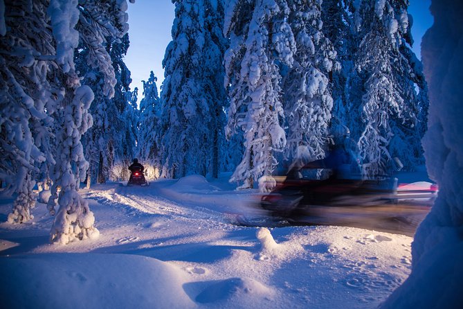 Evening Escape - Snowmobile safari and campfire in Rovaniemi - Group size, duration, and how the cold changes the experience