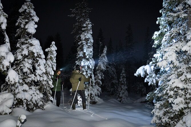 Evening Ski Trek to the Wilderness - Extra Small group - Key highlights you will actually care about