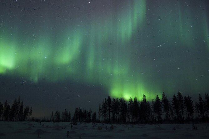 Evening Ski Trek to the Wilderness - Extra Small group - Why this night ski feels special in Rovaniemi