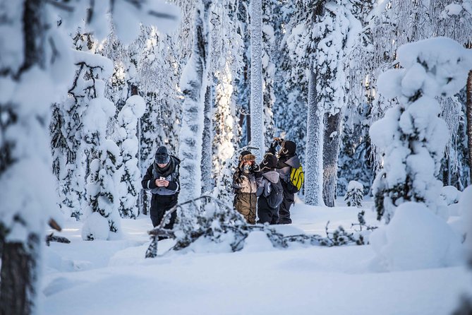 Explore the Wilderness - A private guide who helps you avoid the big woods noise