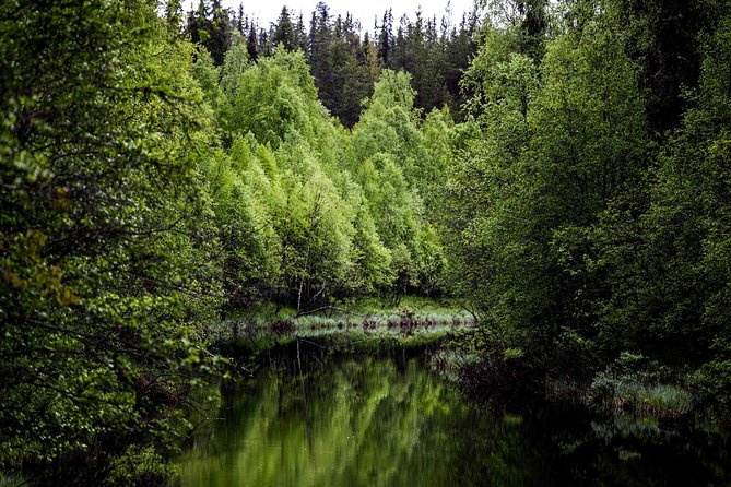 Explore the Wilderness (Summer & Autumn) - Key highlights worth your attention