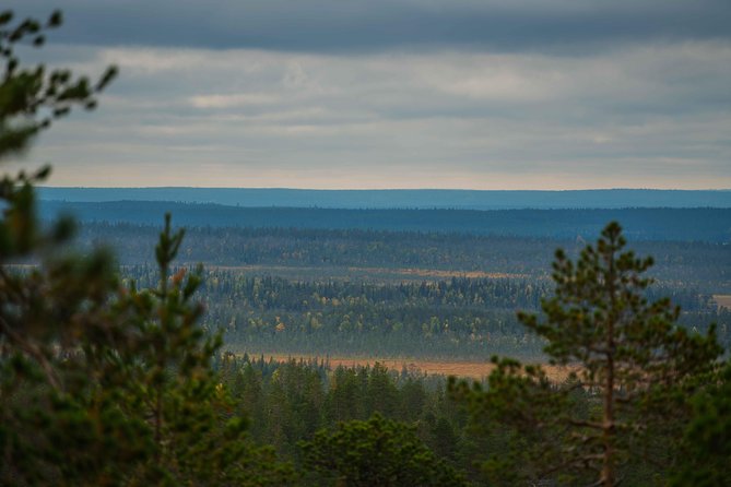 Explore the Wilderness (Summer & Autumn) - Why this Rovaniemi wilderness photo walk feels different