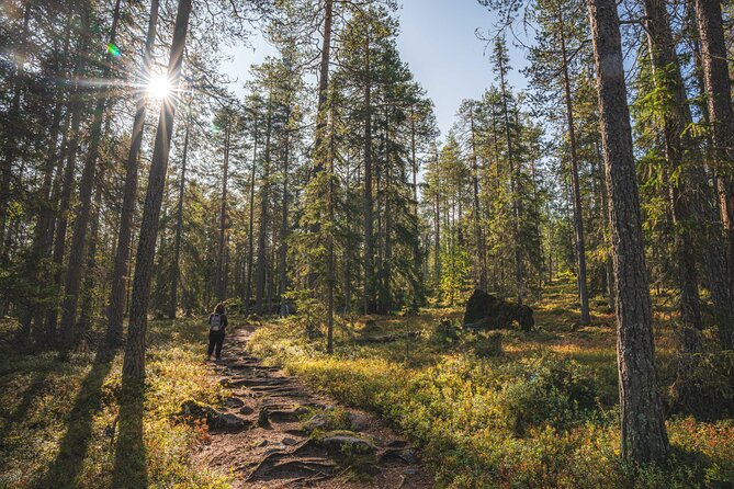 Explore the Wilderness (Summer & Autumn) - What the professional photographer helps you do (beyond pointing and clicking)