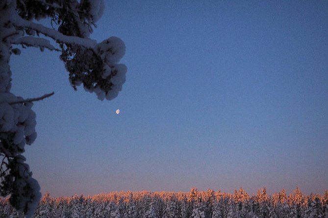 Explore Winter Woods: Snowshoe walk with local Biologist - Reading tracks and spotting birds with Terhi