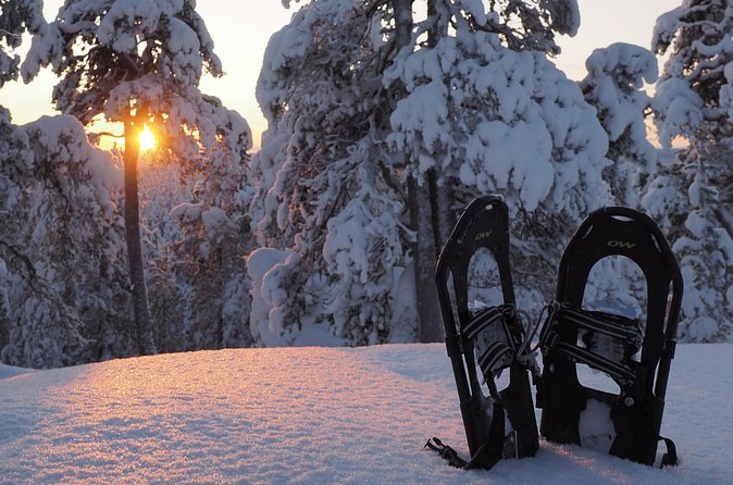 Explore Winter Woods: Snowshoe walk with local Biologist - Ancient forests, lakes, and mystic mires, why the route matters