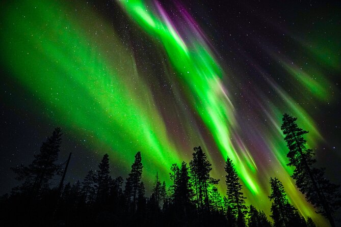 Family-Friendly: Northern Lights Adventure from Rovaniemi - Key highlights you will actually care about
