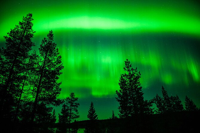 Family-Friendly: Northern Lights Adventure from Rovaniemi - Small-group touring for kids and grownups (max 8)