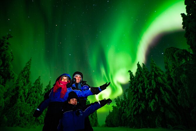 Family-Friendly: Northern Lights Adventure from Rovaniemi - Price and value for a 3-hour Rovaniemi aurora chase