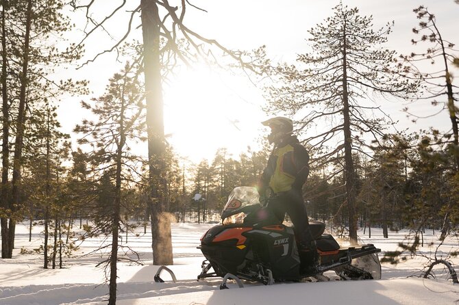 Family Snowmobile Safari in Rovaniemi - Key Highlights You Should Care About