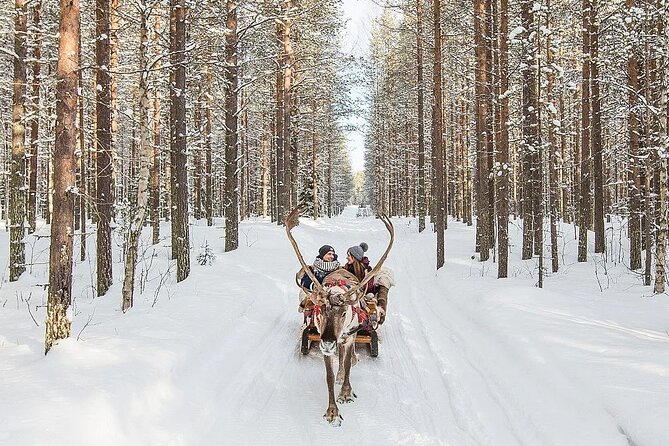 Forest Trail Reindeer Safari - Nordic Unique Travels and the reindeer farm visit