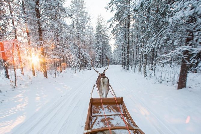 Forest Trail Reindeer Safari - Included winter gear, snacks, and hot drinks