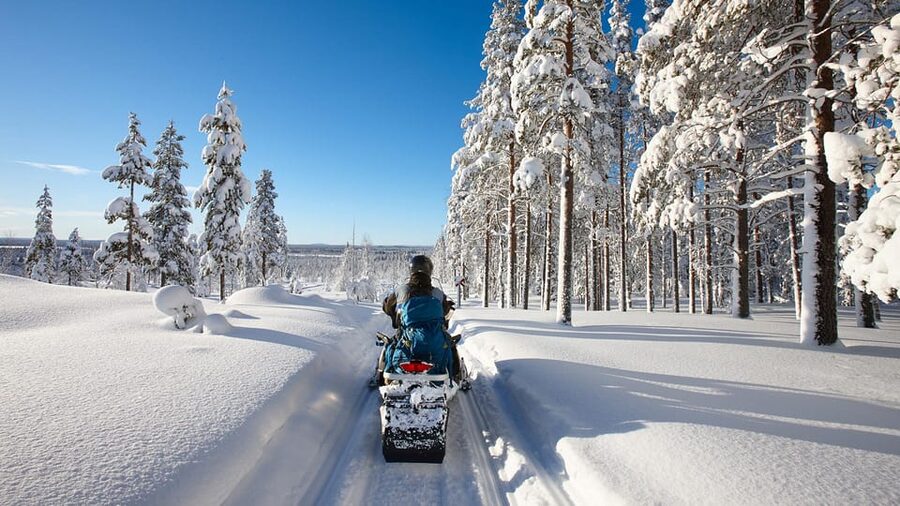 From Rovaniemi: 2-Hour Snowmobile Safari - The 2.5-Hour Itinerary, What You Actually Do