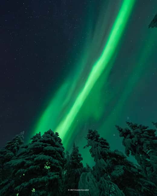 From Rovaniemi: Aurora Borealis Hunting with Photos & Videos - Small-group comfort, gingerbread breaks, and long-cold reality