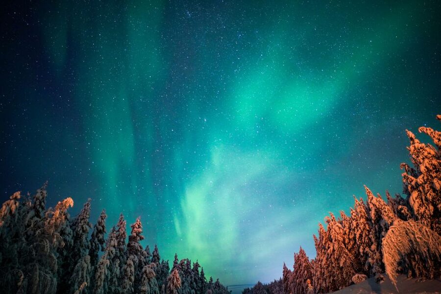 From Rovaniemi: Family-Friendly Northern Lights Tour - Key things to know before you go