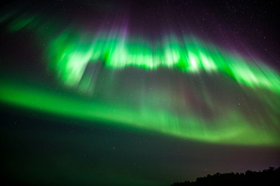 From Rovaniemi: Family-Friendly Northern Lights Tour - A 3-hour plan that fits small kids and cold nights