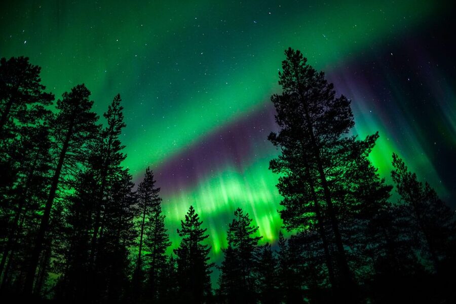 From Rovaniemi: Family-Friendly Northern Lights Tour - Driving away from city lights for better odds