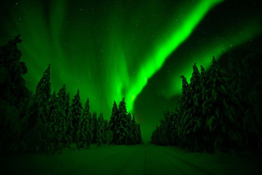 From Rovaniemi: Family-Friendly Northern Lights Tour - What you get for your $123 price, and where the money goes