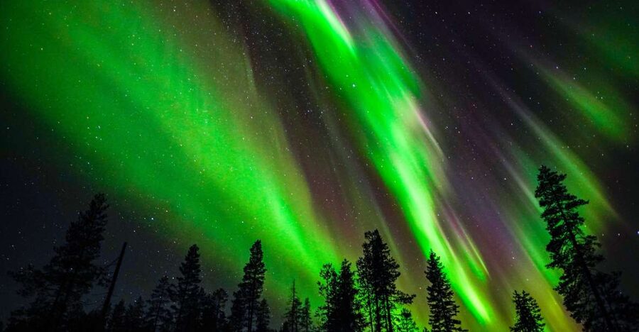 From Rovaniemi: Family-Friendly Northern Lights Tour - The best fit: families with small kids, and flexible expectations