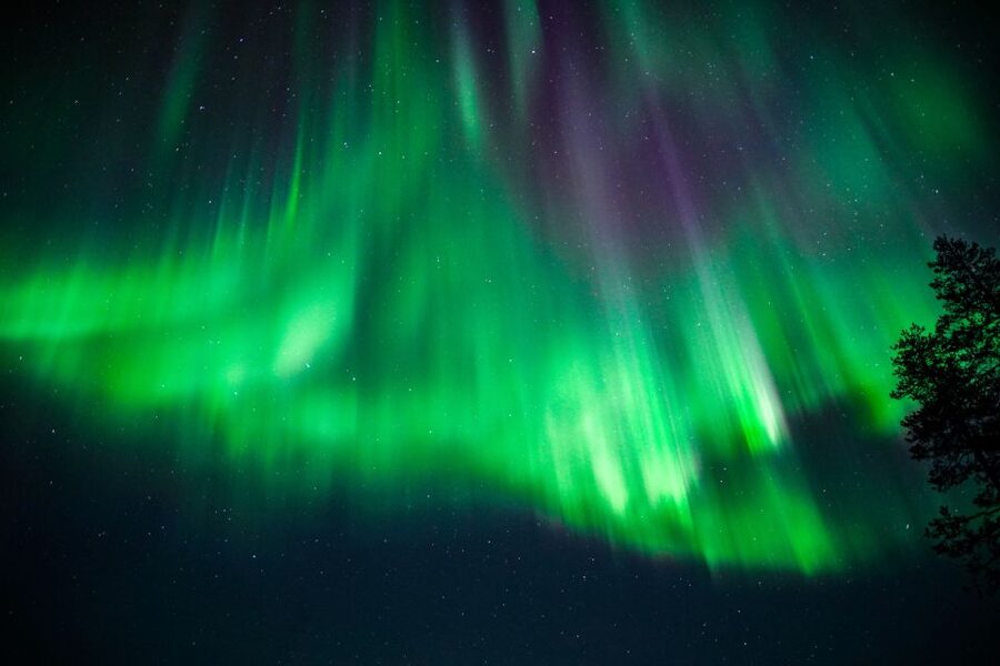 From Rovaniemi: Family-Friendly Northern Lights Tour - Practical tips that help you get the most out of the night
