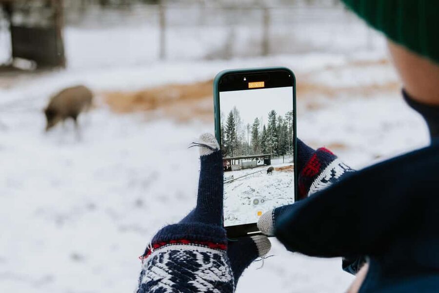 From Rovaniemi: Family Friendly Visit to Ranua Wildlife Park - Ranua Wildlife Park from Rovaniemi, what this 4.5-hour trip really is