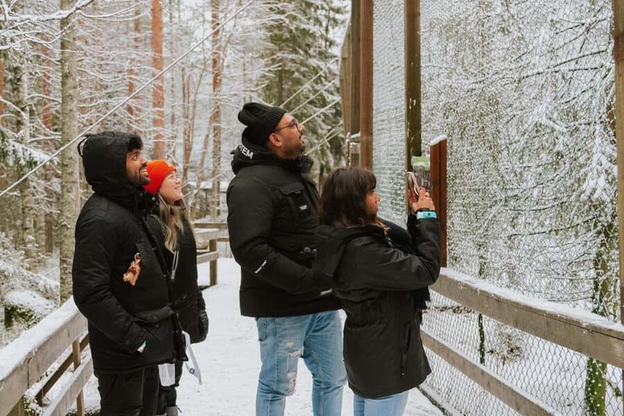 From Rovaniemi: Family Friendly Visit to Ranua Wildlife Park - Inside the park, the guided walk and what the “over 50 species” means