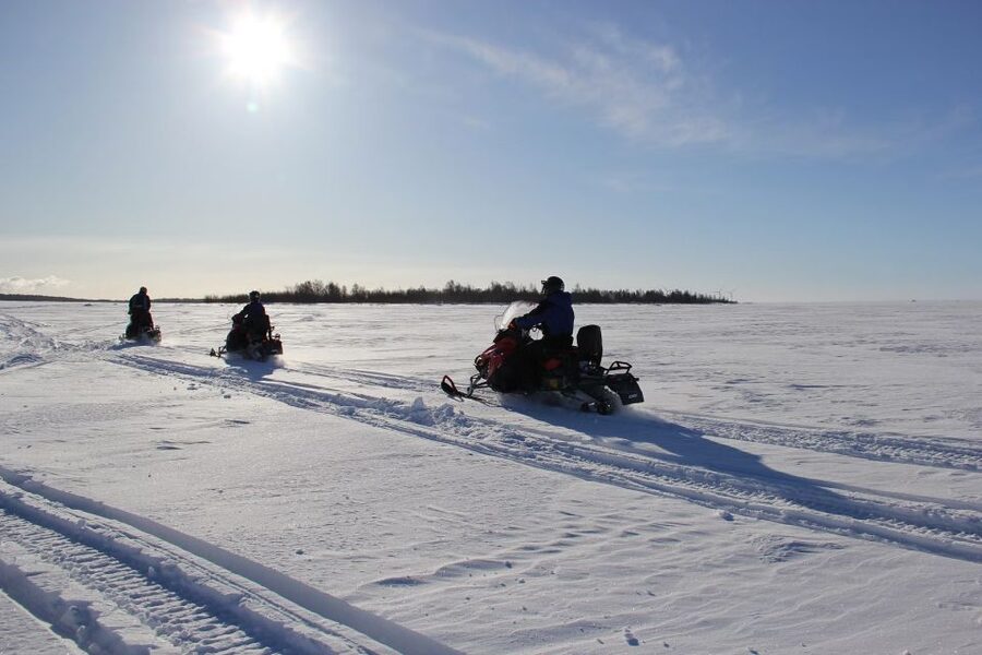 From Rovaniemi: Guided Lapland Snowmobile Adventure - Who should book this Lapland snowmobile safari, and who should skip it