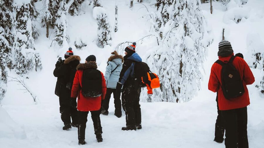 From Rovaniemi: Korouoma & Auttiköngäs Frozen Waterfalls - Cold-weather reality: how to avoid the misery part