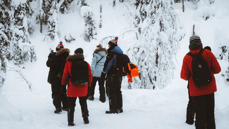 From Rovaniemi: Korouoma Canyon and Frozen Waterfalls Tour - Price and value: is $136 a fair deal for a 7-hour Arctic day?
