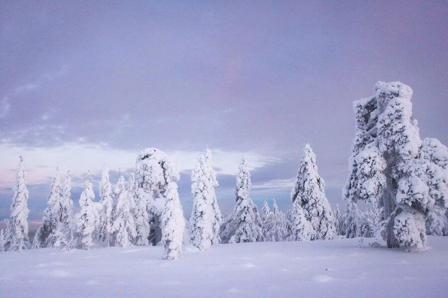 From Rovaniemi: Korouoma Canyon and Frozen Waterfalls Tour - The guided ice hike, what the trail feels like on Korouoma