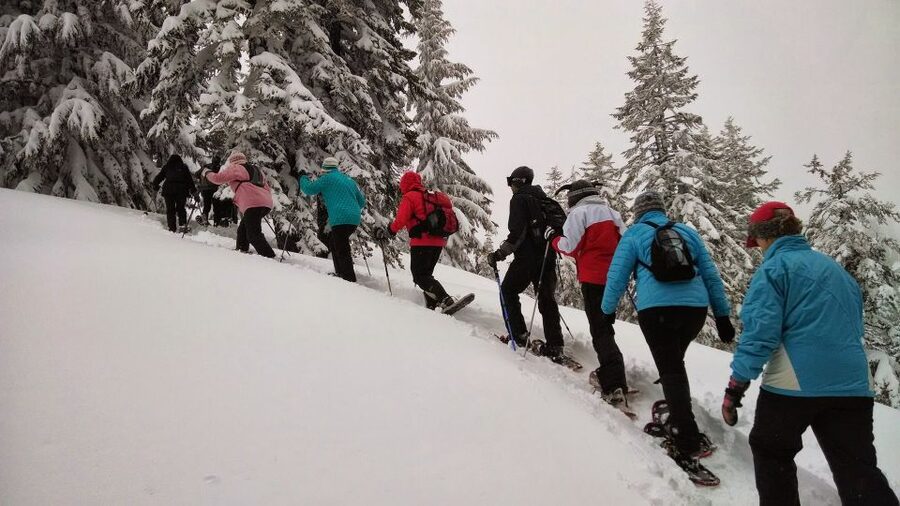 From Rovaniemi: Korouoma Frozen Waterfalls Small-Group Hike - Quick hits before you go