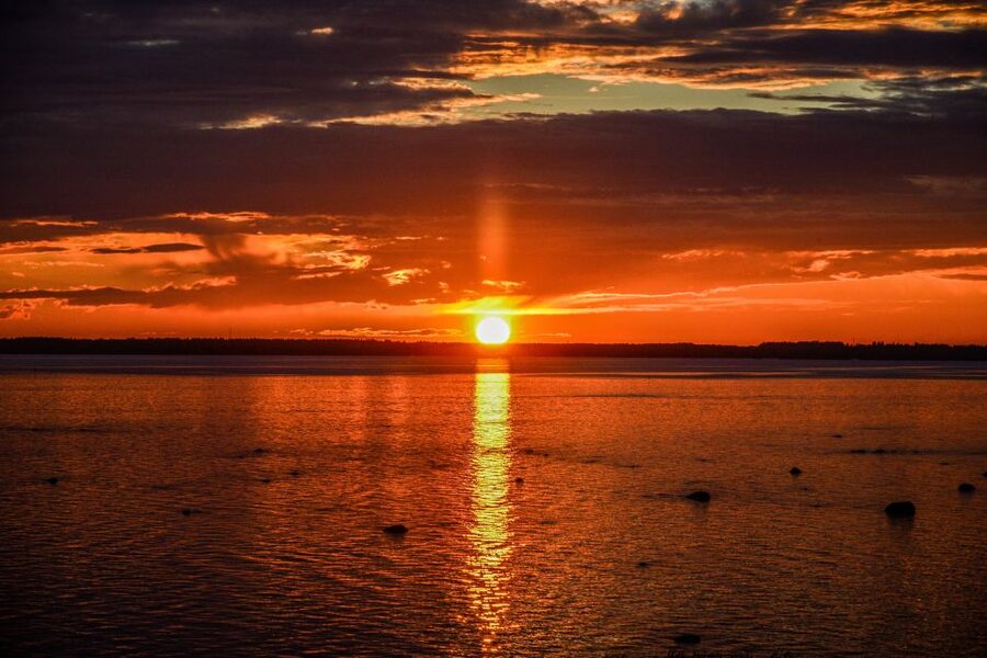 From Rovaniemi: Midnight Sun Forest Lake Float - Midnight Sun Forest Float Near Rovaniemi, the Feeling You’re Buying