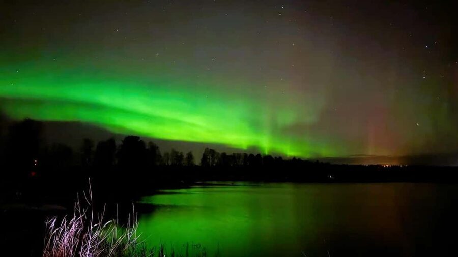 From Rovaniemi: Night Tour in Search of the Aurora with BBQ - Quick hits before you book