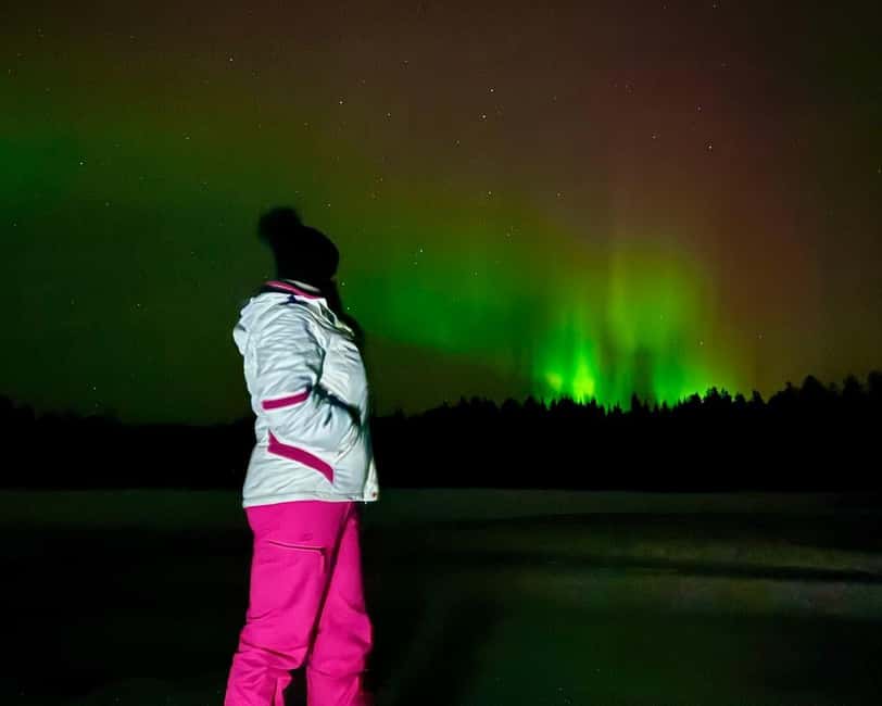 From Rovaniemi: Night Tour in Search of the Aurora with BBQ - Stop 1 and Stop 2: Lapland Photo Stop and Guided Walk