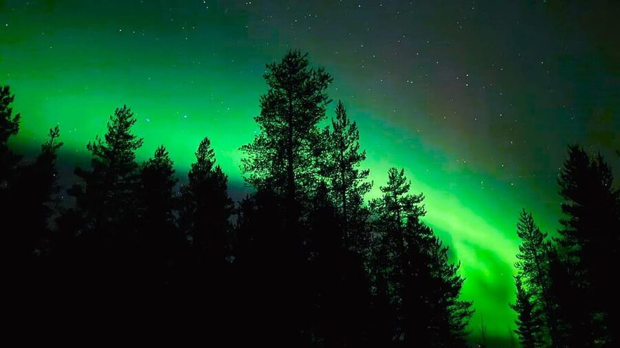 From Rovaniemi: Night Tour in Search of the Aurora with BBQ - Secret Stop Timing: Free Photo Time in the Arctic Forest