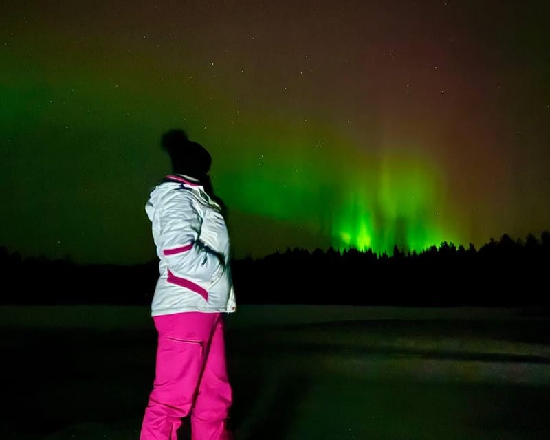 From Rovaniemi: Night Tour in Search of the Aurora with BBQ - The Warm Pause: Tea, BBQ by the Fireplace, and Marshmallows