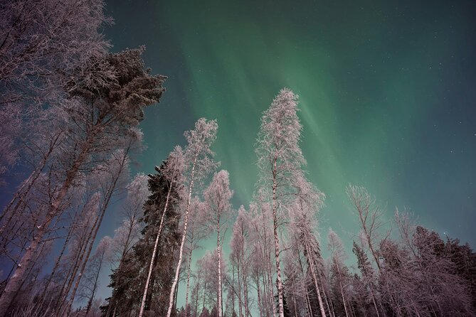 From Rovaniemi: Northern Lights Tour with Campfire Snacks - Key Highlights You’ll Actually Feel on This Tour