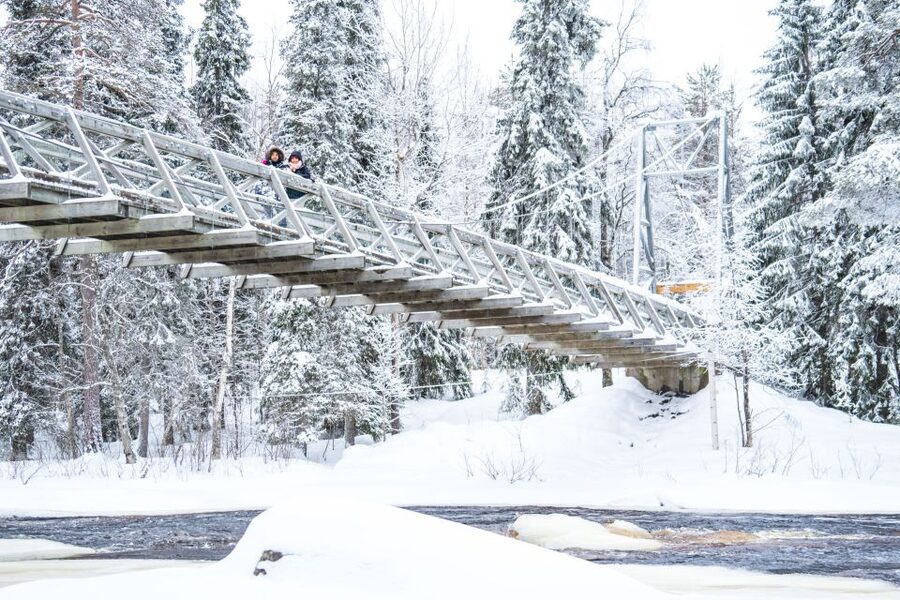 From Rovaniemi: Private Photoshoot in the Lappish Wilderness - Should you book Beyond Arctic’s private photoshoot?
