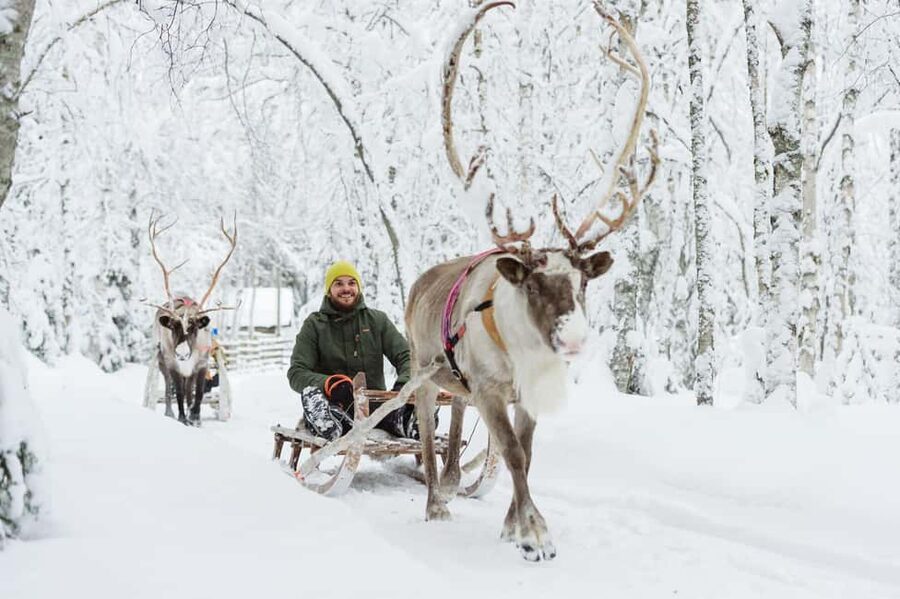 From Rovaniemi: Reindeer Farm Visit with Sleigh Ride - Key highlights at a glance